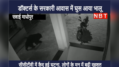 आधी रात में  डॉक्टर्स के सरकारी आवासों में आ गया भालू, CCTV में कैद घटना