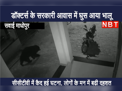 आधी रात में  डॉक्टर्स के सरकारी आवासों में आ गया भालू, CCTV में कैद घटना