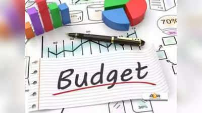 Budget 2024 India: দেশ সামলাতে সরকারের কাছে বাজেটের গুরুত্ব কতটা?