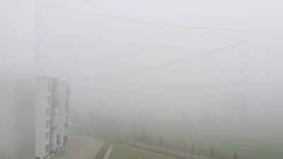 MP Fog News : भोपाल में घना कोहरा, नजदीक से भी नहीं दिख रहा कुछ, कई जिलों में हाड़ कंपाने वाली ठंड