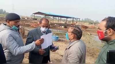Fatehpur News: फतेहपुर की नंदी गोशाला में गायों को जिंदा दफनाने का आरोप, प्रधान और सचिव पर FIR