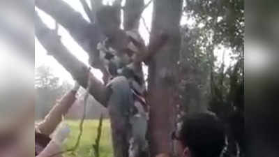 वैक्सीन से डर, वैक्सीनेशन टीम को गांव में देखकर पेड़ पर चढ़ गई लड़की, वीडियो वायरल