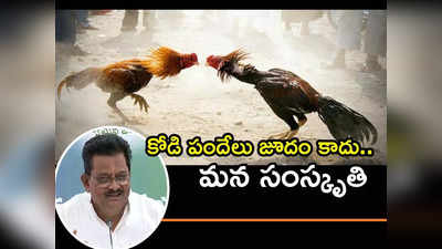 కోడి పందేలు జూదం కాదు, మన సంస్కృతి.. ఏపీ మంత్రి కామెంట్స్ వైరల్