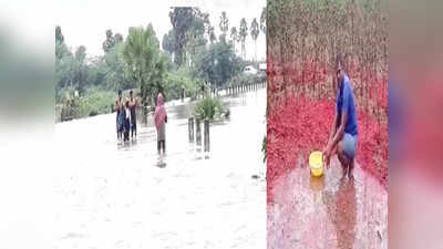 Rain Effect: ఉమ్మడి నల్గొండ జిల్లాలో వర్ష బీభత్సం.. నీట మునిగిన పంటలు 