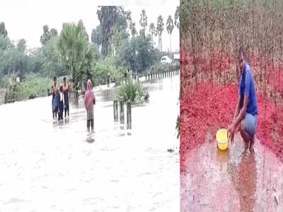 Rain Effect: ఉమ్మడి నల్గొండ జిల్లాలో వర్ష బీభత్సం.. నీట మునిగిన పంటలు