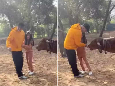 अक्षय कुमार ने बेटी नितारा संग गाय को खिलाया चारा, बार-बार देखेंगे ये प्यारा वीडियो
