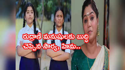 Karthika Deepam జనవరి 17 ఎపిసోడ్: రౌడీలనే బురిడీ కొట్టించిన హిమ, సౌర్య.. మోనిత కోసం ఏడ్చేసిన విన్నీ