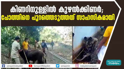 കിണറിനുള്ളില്‍ കുഴല്‍ക്കിണര്‍; പോത്തിനെ പുറത്തെടുത്തത് സാഹസികമായി