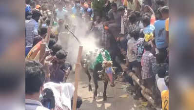 இப்படி ஒரு எருதாட்டம் பார்த்திருக்க மாட்டீங்க... சீறிப்பாய்ந்த காளைகள்!