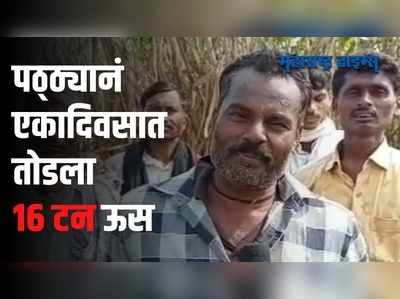 माणूस की मशिन ! एका दिवसात एकटयाने तोडला २० गुंठ्यातील  १६ टन ऊस