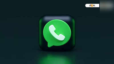 WhatsApp-র কাস্টম নোটিফিকেশন সাউন্ড সেট করবেন কীভাবে? জানুন সহজ উপায়