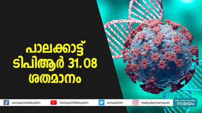 പാലക്കാട്ട് ടിപിആര്‍ 31.08 ശതമാനം