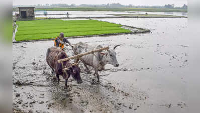 Punjab elections: चुनावी मौसम में फ्री की आस, पंजाब में किसानों ने लोन चुकाना छोड़ा