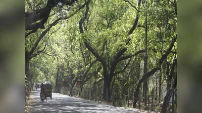 Aarey forest: आरेच्या जंगलात रात्री वाहनांना प्रवेशबंदी