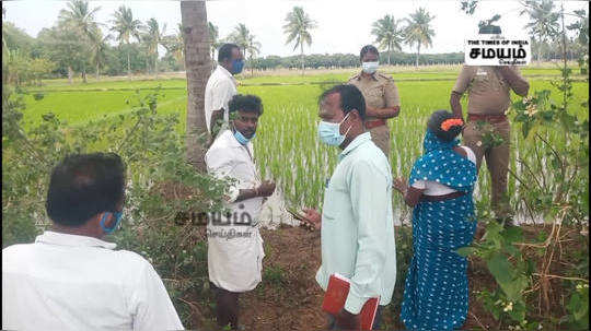 கலவை அருகே மர்மமாக 50 க்கு மேற்பட்ட கோழிகள் இறந்ததால் பரபரப்பு..