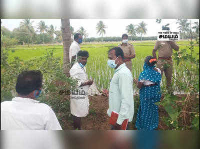 கலவை அருகே மர்மமாக 50 க்கு மேற்பட்ட கோழிகள் இறந்ததால் பரபரப்பு..