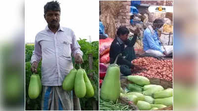 আজও মালদার ঐতিহ্য ‘নবাবগঞ্জের বেগুন’