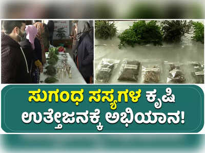 ಕಣಿವೆಯಲ್ಲಿ ಸುಗಂಧ ಸಸ್ಯಗಳ ಕೃಷಿ ಉತ್ತೇಜನಕ್ಕೆ ಅಭಿಯಾನ!