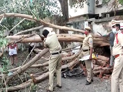 చిన్నారులపై కుప్పకూలిన భారీ రావి చెట్టు.. విషాదం