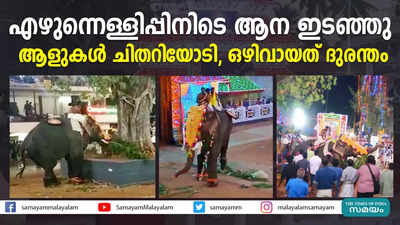 എഴുന്നെള്ളിപ്പിനിടെ ആന ഇടഞ്ഞു; ആളുകൾ ചിതറിയോടി, ഒഴിവായത് ദുരന്തം