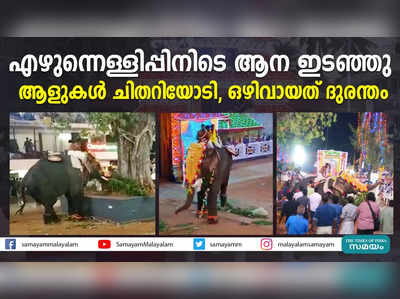 എഴുന്നെള്ളിപ്പിനിടെ ആന ഇടഞ്ഞു; ആളുകൾ ചിതറിയോടി, ഒഴിവായത് ദുരന്തം