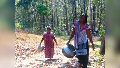 കിണറുകൾ വറ്റി, കോട്ടപ്പടിയിൽ; കുടിവെള്ളക്ഷാമം രൂക്ഷം