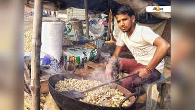 কাঁচা বাদাম গানে লক্ষ্মীলাভ যোগী রাজ্যের বাদাম বিক্রেতাদের