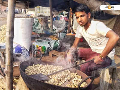 কাঁচা বাদাম গানে লক্ষ্মীলাভ যোগী রাজ্যের বাদাম বিক্রেতাদের