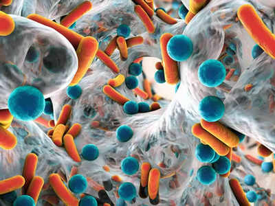 Superbug News: सुपरबग क्या है, कैसे यह हर साल 13 लाख जानें ले रहा है, कोरोना से कनेक्शन भी जानिए