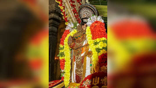 ஸ்ரீ ரங்கம் தைத்தேர் உற்சவம் நிறைவு… ஆளும் பல்லக்கில் நம்பெருமாள்!