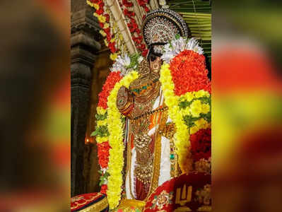 ஸ்ரீ ரங்கம் தைத்தேர் உற்சவம் நிறைவு… ஆளும் பல்லக்கில் நம்பெருமாள்!