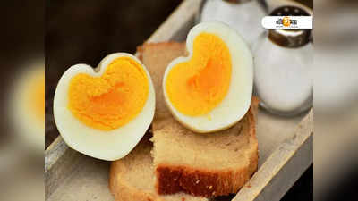 Egg Benefits: শীতে রোজ কেন খাবেন ডিম? পড়ুন, সেলিব্রেটি পুষ্টিবিদের পরামর্শ...