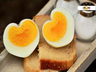 Egg Benefits: শীতে রোজ কেন খাবেন ডিম? পড়ুন, সেলিব্রেটি পুষ্টিবিদের পরামর্শ...