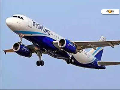 Indigo News: জ্বালানির উপর শুল্কে ছাড় চেয়ে কেন্দ্রকে আর্জি Indigoর