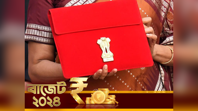 Budget FAQ: ঘাটতি বিনিয়োগ বলতে কী বোঝায়? জানুন