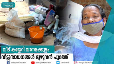 വീട് കയ്യേറി വാനരക്കൂട്ടം   വീട്ടുസാധനങ്ങള്‍ മുഴുവന്‍ പുറത്ത്