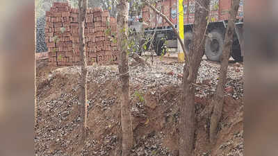 बिहार में सड़क किनारे चांट की लूट! पटना के पालीगंज में अफसरों पर मिलीभगत का आरोप
