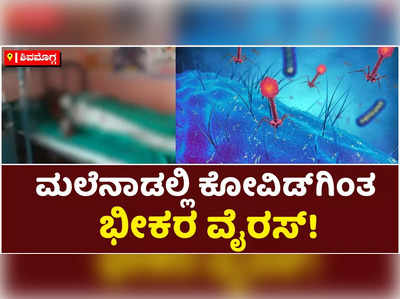 ಮಲೆನಾಡಲ್ಲಿ ಕೋವಿಡ್‌ಗಿಂತ ಭೀಕರ ವೈರಸ್‌: ಶಿವಮೊಗ್ಗದಲ್ಲಿ ಜನರಲ್ಲಿ ಮಂಗನ ಖಾಯಿಲೆ ಆತಂಕ