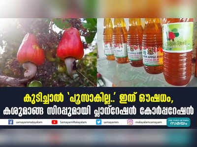 കുടിച്ചാല്‍ പൂസാകില്ല.. ഇത് ഔഷധം, കശുമാങ്ങ സിറപ്പുമായി പ്ലാന്റേഷന്‍ കോര്‍പ്പറേഷന്‍