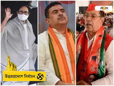 হিন্দি বড় কথা নয়, মমতার উপস্থিতিই যথেষ্ট, শুভেন্দুকে সপাট জবাব কিরন্ময়ের