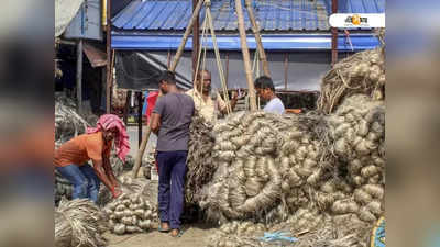 পাট মজুতে রপ্তানিকারকদের ছাড়ের ভাবনা, দাবি পীযূষের