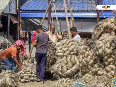 পাট মজুতে রপ্তানিকারকদের ছাড়ের ভাবনা, দাবি পীযূষের