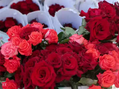 Rose day ಗೆ ನಿಮ್ಮ ಸಂಗಾತಿಗೆ ಅತ್ಯುತ್ತಮ ಗಿಫ್ಟ್ ನೀಡುವ ಮೂಲಕ ಅವರಿಗೆ ಸರ್ಪ್ರೈಸ್ ನೀಡಿ