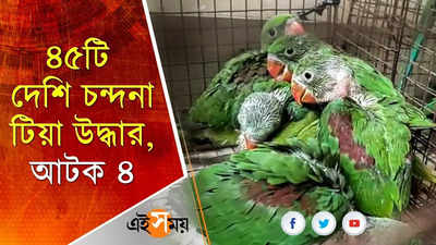 বারাসত থেকে উদ্ধার ৪৫টি দেশি চন্দনা টিয়া, আটক ৪