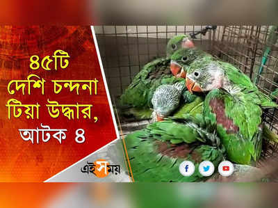 বারাসত থেকে উদ্ধার ৪৫টি দেশি চন্দনা টিয়া, আটক ৪