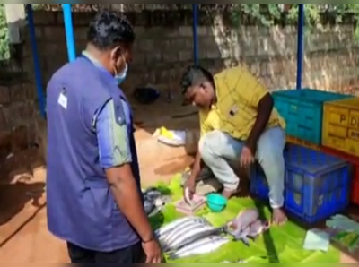 இரசாயனம் தடவிய மீன்; அதிகாரி ரெய்டு; கதிகலங்கிய வியாபாரிகள்!