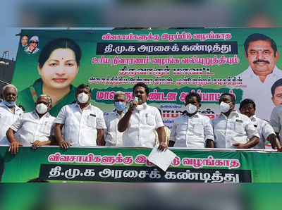 பொங்கல் பரிசில் பப்பாளி விதை?; பகீர் தகவல் அம்பலமானது!