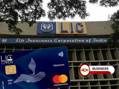 ধামাকাদার ডিসকাউন্ট-সহ একাধিক লাভ! LIC Credit Card-এর সুবিধা দেখুন