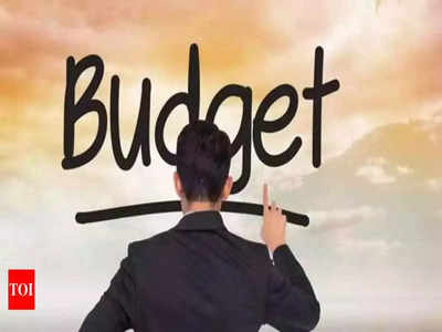 Union Budget 2022: आम आदमी क्या चाहते हैं बजट से?