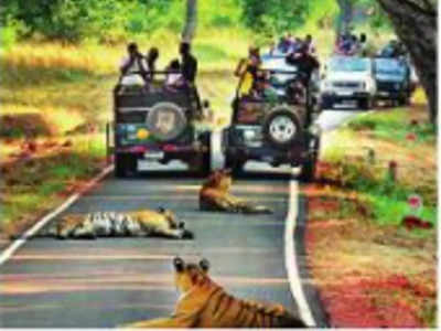 तिसऱ्या लाटेने पुन्हा फिरस्तीला ब्रेक